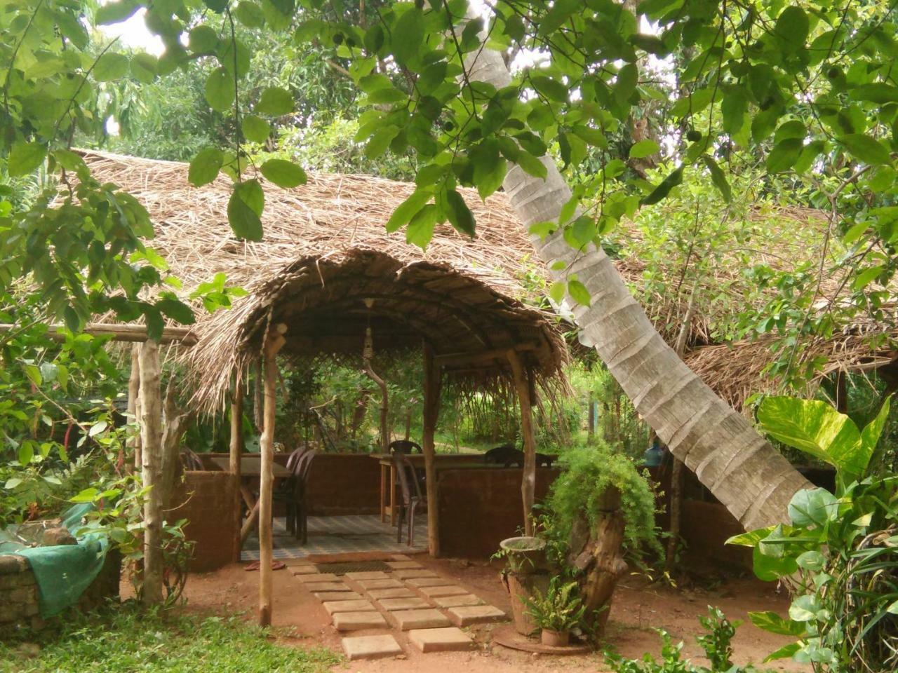 Gimanhala Cottage & Cookary Class Anuradhapura Exterior foto